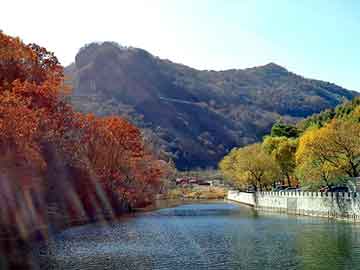 正新澳门二四六天天彩，都市神医小说